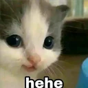 hehe