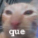 que