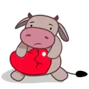 ️Yul cow   MOV 8