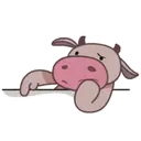 ️Yul cow   MOV 5