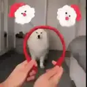 A͓̽n͓̽i͓̽m͓̽a͓̽l͓̽s͓̽ ͓̽i͓̽n͓̽ ͓̽C͓̽h͓̽r͓̽i͓̽s͓̽t͓̽m͓̽a͓̽s͓̽  Mov 22