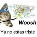 Cats 14