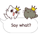 Say what?