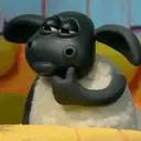 S︎H︎A︎U︎N︎ T︎H︎E︎ S︎H︎E︎E︎P︎ 1