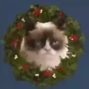 A͓̽n͓̽i͓̽m͓̽a͓̽l͓̽s͓̽ ͓̽i͓̽n͓̽ ͓̽C͓̽h͓̽r͓̽i͓̽s͓̽t͓̽m͓̽a͓̽s͓̽  Mov 2
