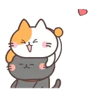 Good friend cat 5 mov. 21