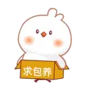 ️ Beautiful chicken   MOV 12