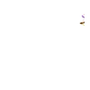 ● Rabbit Kingdom Mov. ● 16