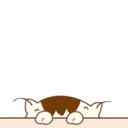 ️Cream cat   MOV 15