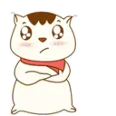 ️Cream cat   MOV 1