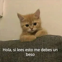 @michi:parat
Hola, si lees esto me debes un
beso