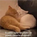 michis.para.ti
Si pablo clavo un clavito yo
puedo clavarte un besito?