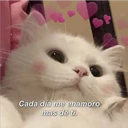 Cada día me enamoro
mas de ti.