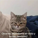 @michis.para.ti
Otra vez dejandome en visto y
no me desvistes?
