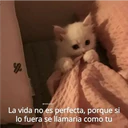 y
@michis.para.
La vida no es perfecta, porque si
lo fuera se llamaria como tu