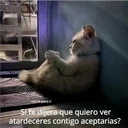 michis.para.ti
Si te dijera que quiero ver
atardeceres contigo aceptarias?