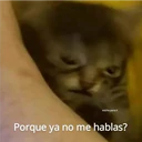 michis.para.ti
Porque ya no me hablas?