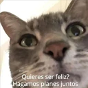 @michis.parati
Quieres ser feliz?
Hagamos planes juntos