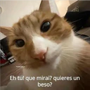 michis.para.t
Eh tu! que mirai? quieres un
beso?