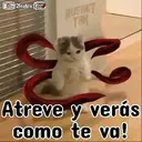 ࿃࿈ANIMALITOS CON FRASES࿈࿃ 16