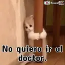 ࿃࿈ANIMALITOS CON FRASES࿈࿃ 24
