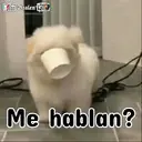 ࿃࿈ANIMALITOS CON FRASES࿈࿃ 17