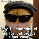 ࿃࿈ANIMALITOS CON FRASES࿈࿃ 8