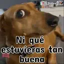 ࿃࿈ANIMALITOS CON FRASES࿈࿃ 30