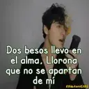 La Llorona(Canción) 1 Movi 15