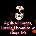 La Llorona(Canción) 1 Movi 10