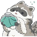 Mapaches 1 15