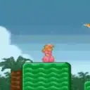 MARIO BROS 2.MOV 3