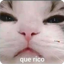 variados 30 14