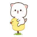 IPeach Cats 1MOV 8