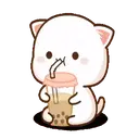 IPeach Cats 1MOV 14