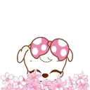 ️Pink cute dog  MOV 30