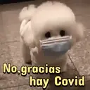 ️ animales graciosos.mov 19