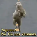 ️ animales graciosos.mov 26
