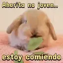 ️ animales graciosos.mov 4