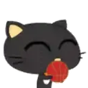 Cat Black 1  ‍ 17