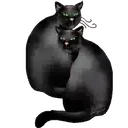 Cats 1 Movi 9