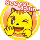 Gatito amarillo 26