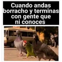 más y más 15