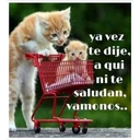 más y más 14