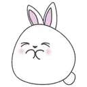 Cute bunny 5