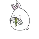 Cute bunny 11