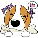 cute dog 24