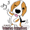 cute dog 13