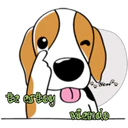 cute dog 19