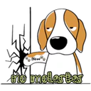 cute dog 12
